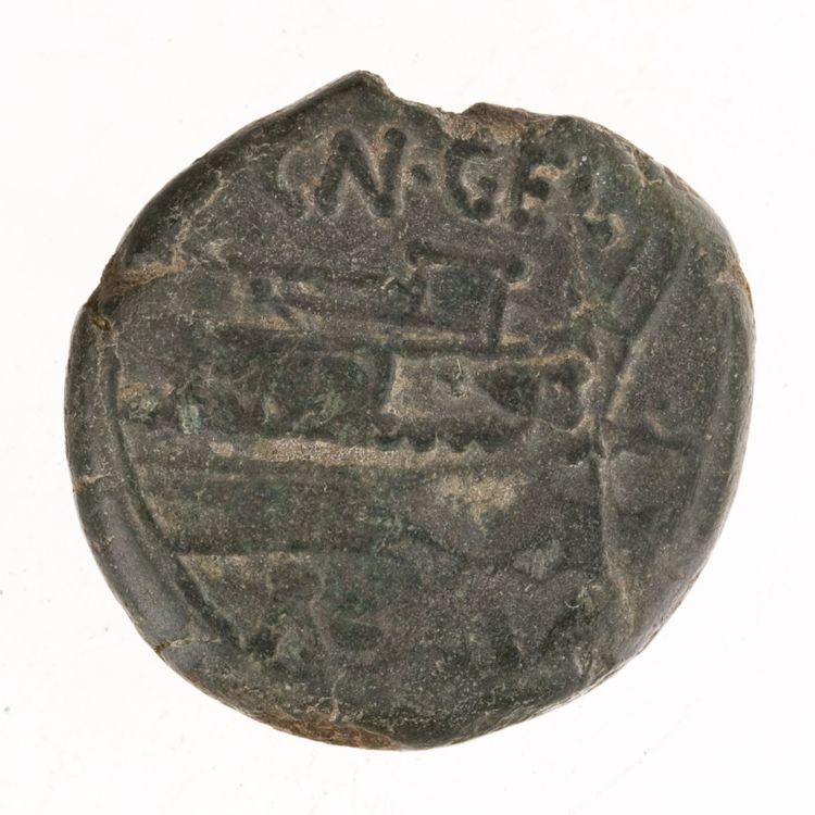 RRC 232/4, реверс, American Numismatic Society (ans)