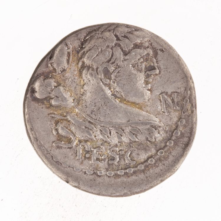 RRC 329/1d, аверс, American Numismatic Society (ans)