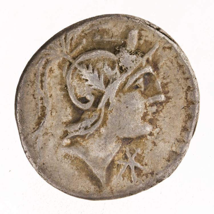 RRC 335/3g, аверс, American Numismatic Society (ans)