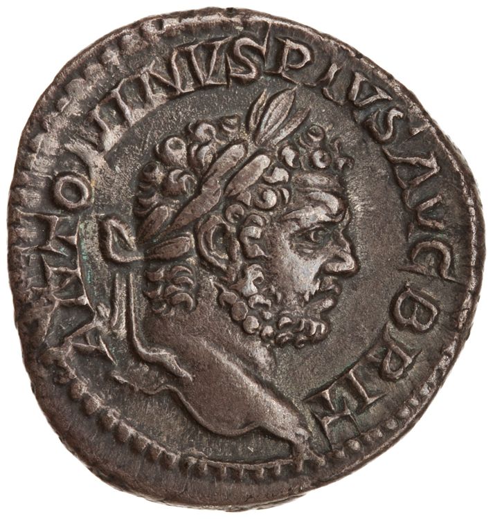 RIC IV Caracalla 195, obverse, American Numismatic Society (ans)