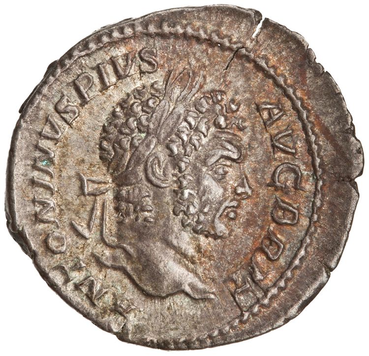 RIC IV Caracalla 224, аверс, American Numismatic Society (ans)