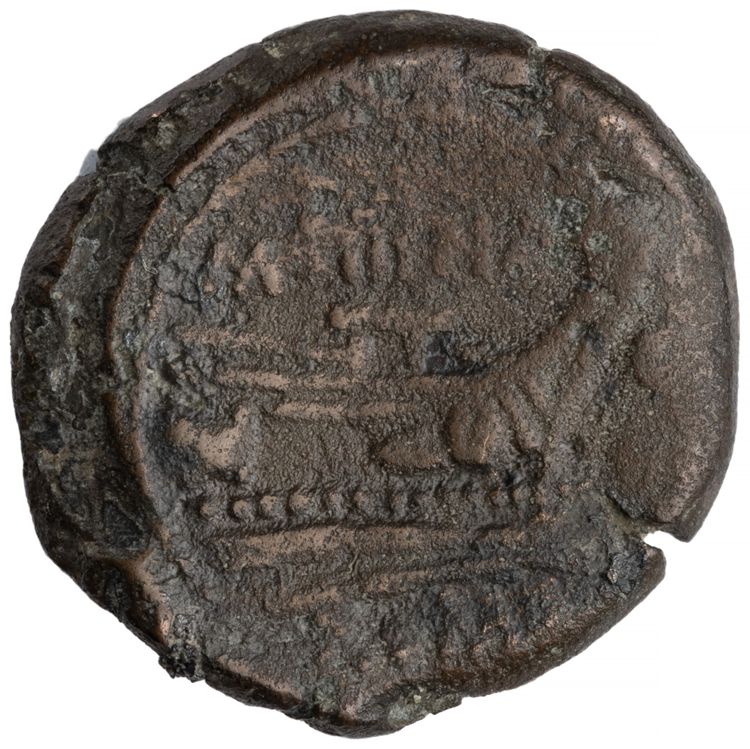 RRC 150/5, reverse, American Numismatic Society (ans)