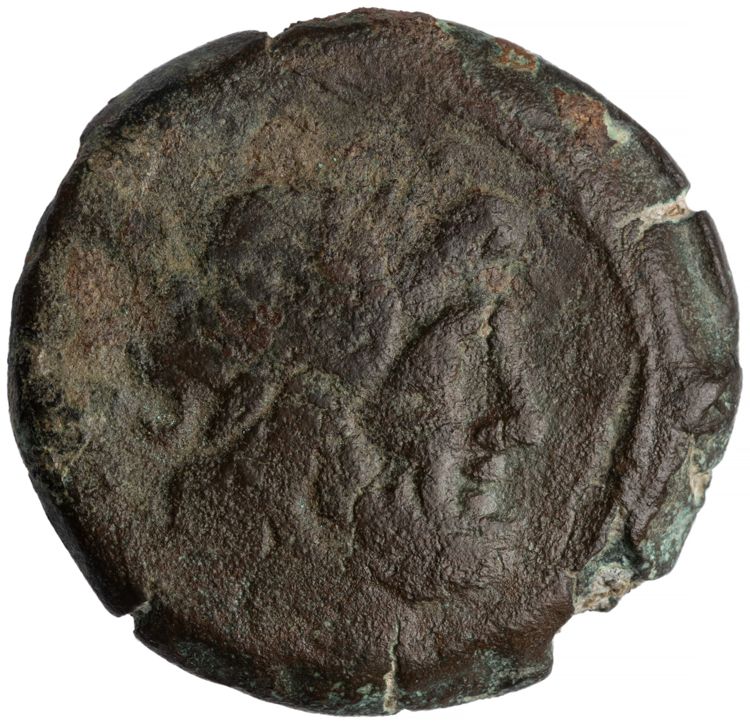 RRC 162/4, obverse, American Numismatic Society (ans)