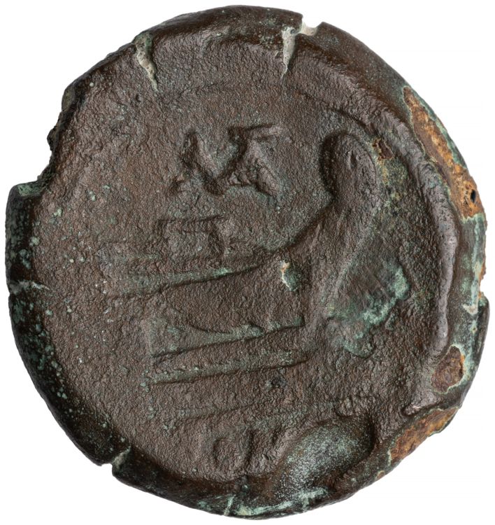 RRC 162/4, reverse, American Numismatic Society (ans)