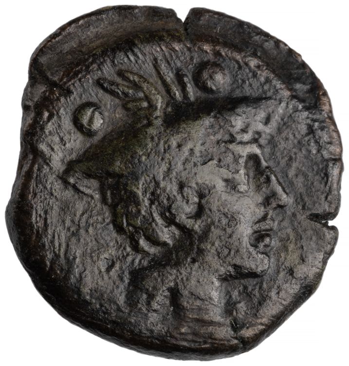 RRC 215/6, аверс, American Numismatic Society (ans)