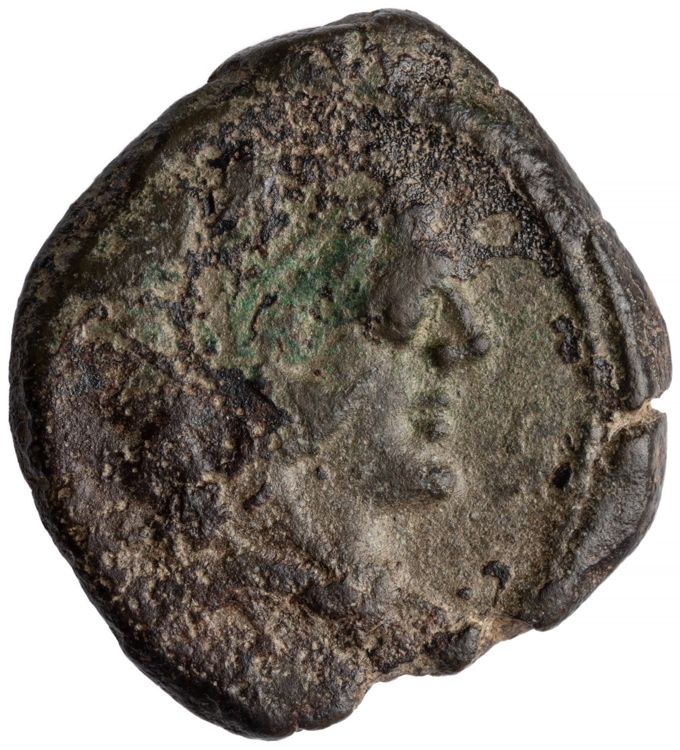 RRC 219/5, аверс, American Numismatic Society (ans)