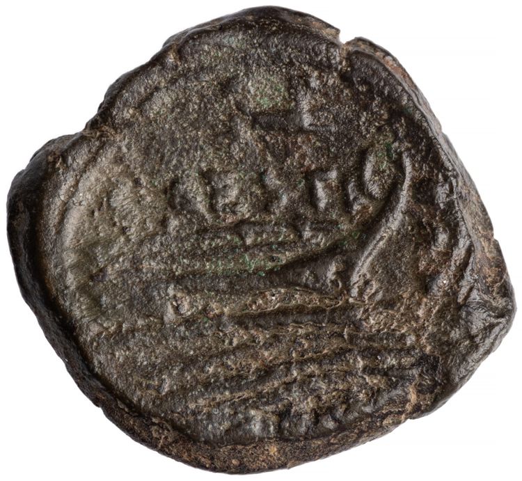 RRC 219/5, реверс, American Numismatic Society (ans)