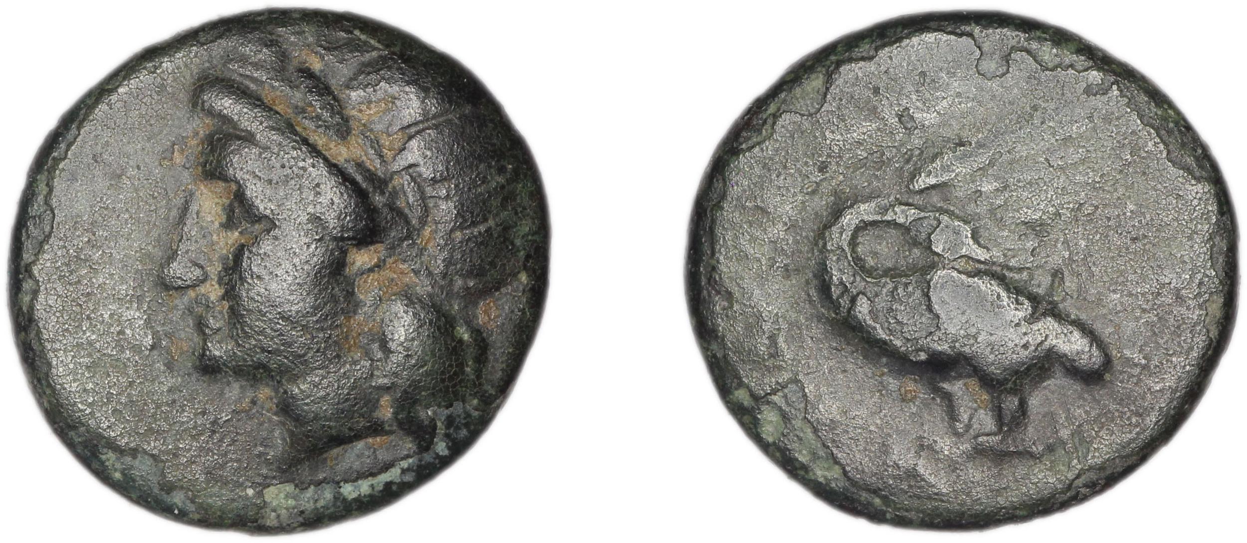 Leucae Kinns, Studies in Greek Personal Names presented to Elaine Matthews, 2010 Bronze A, аверс, Британский музей