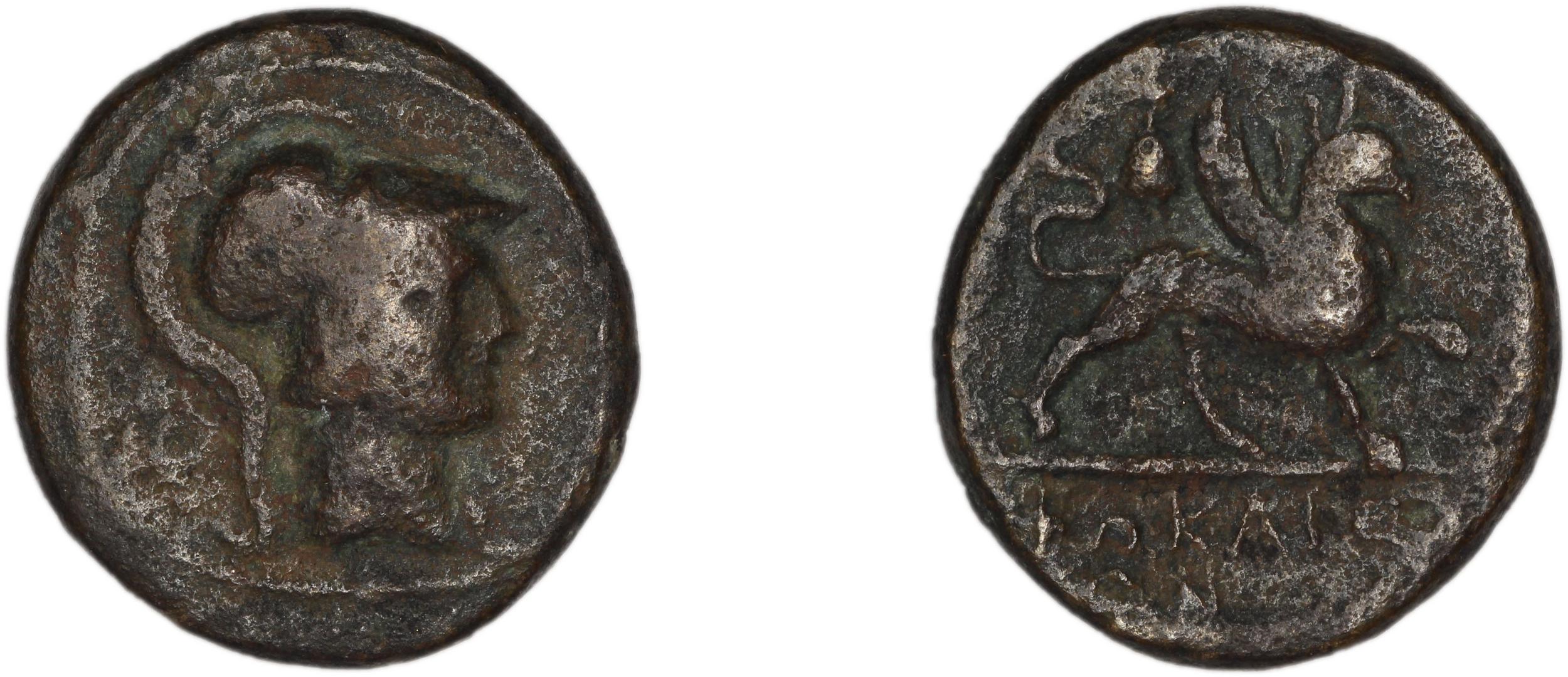 Phocaea BMC Phocaea 109-13, аверс, bm