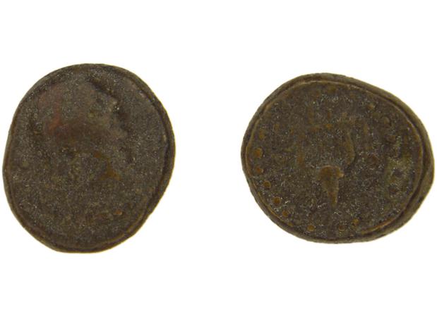 реверс Caystriani BMC Caystriani 6-9