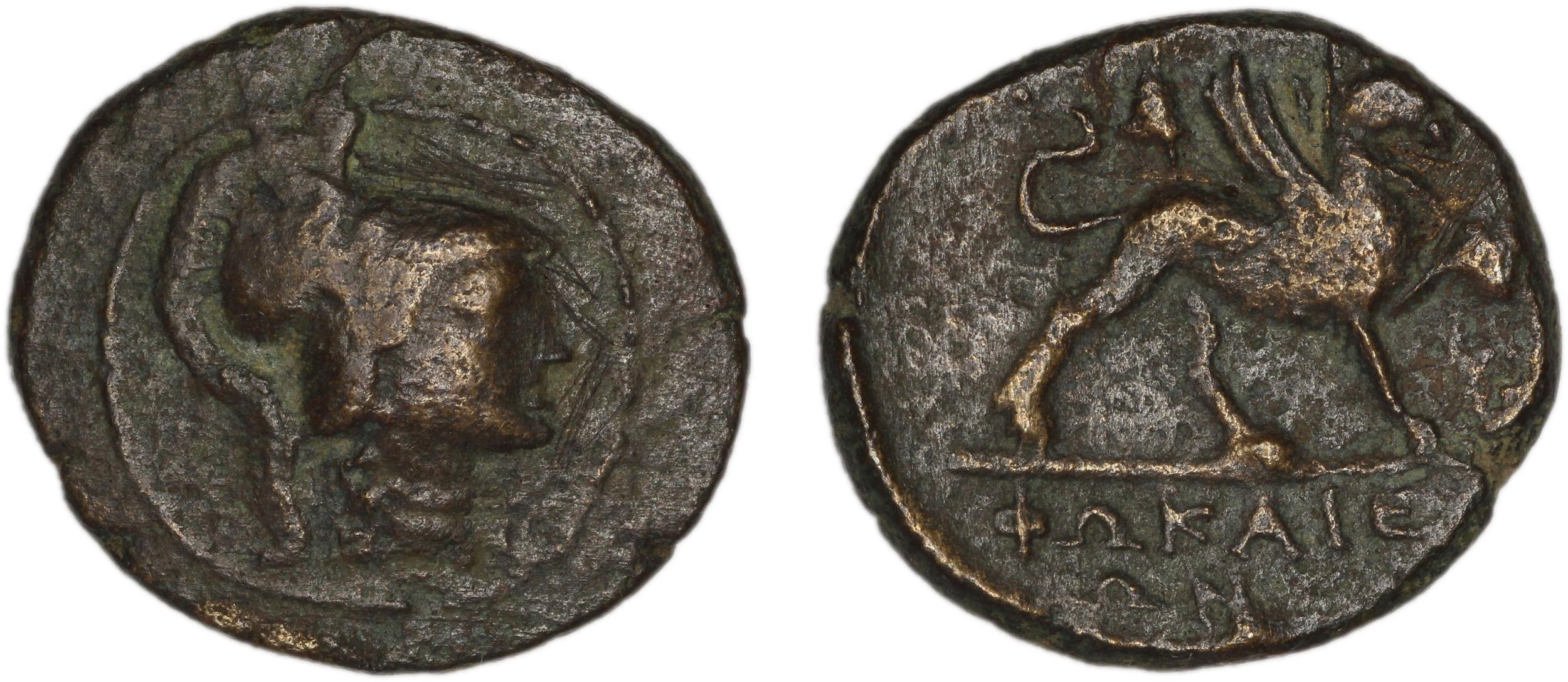 Phocaea BMC Phocaea 109-13, аверс, bm