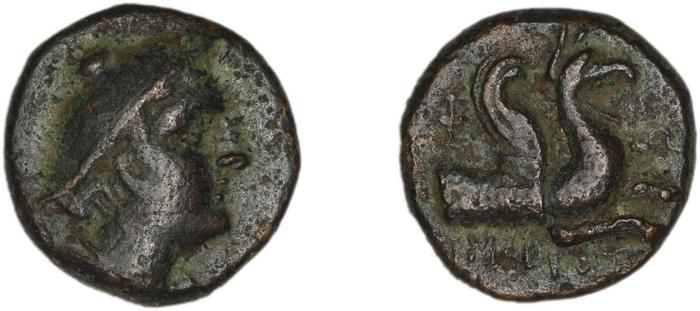 Phocaea BMC Phocaea 103-8, реверс, bm