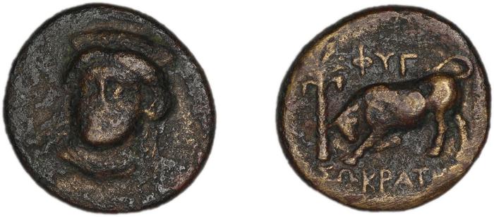 Phygela Regling 1922 Group IV, реверс, bm
