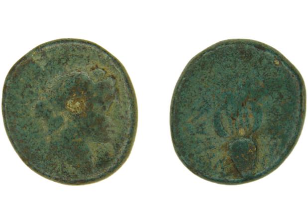 Caystriani BMC Caystriani 6-9, реверс, bm