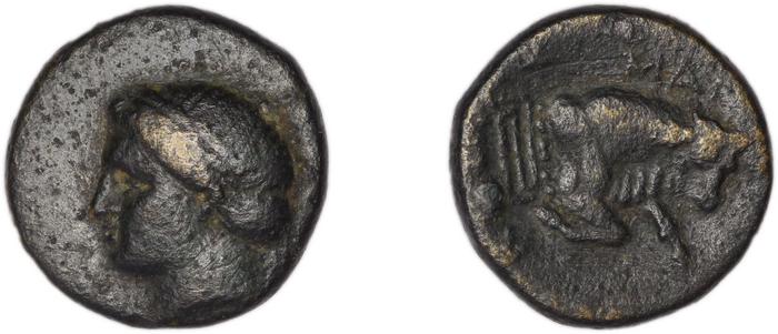 Magnesia ad Maeandrum BMC Magnesia 17-18, реверс, bm