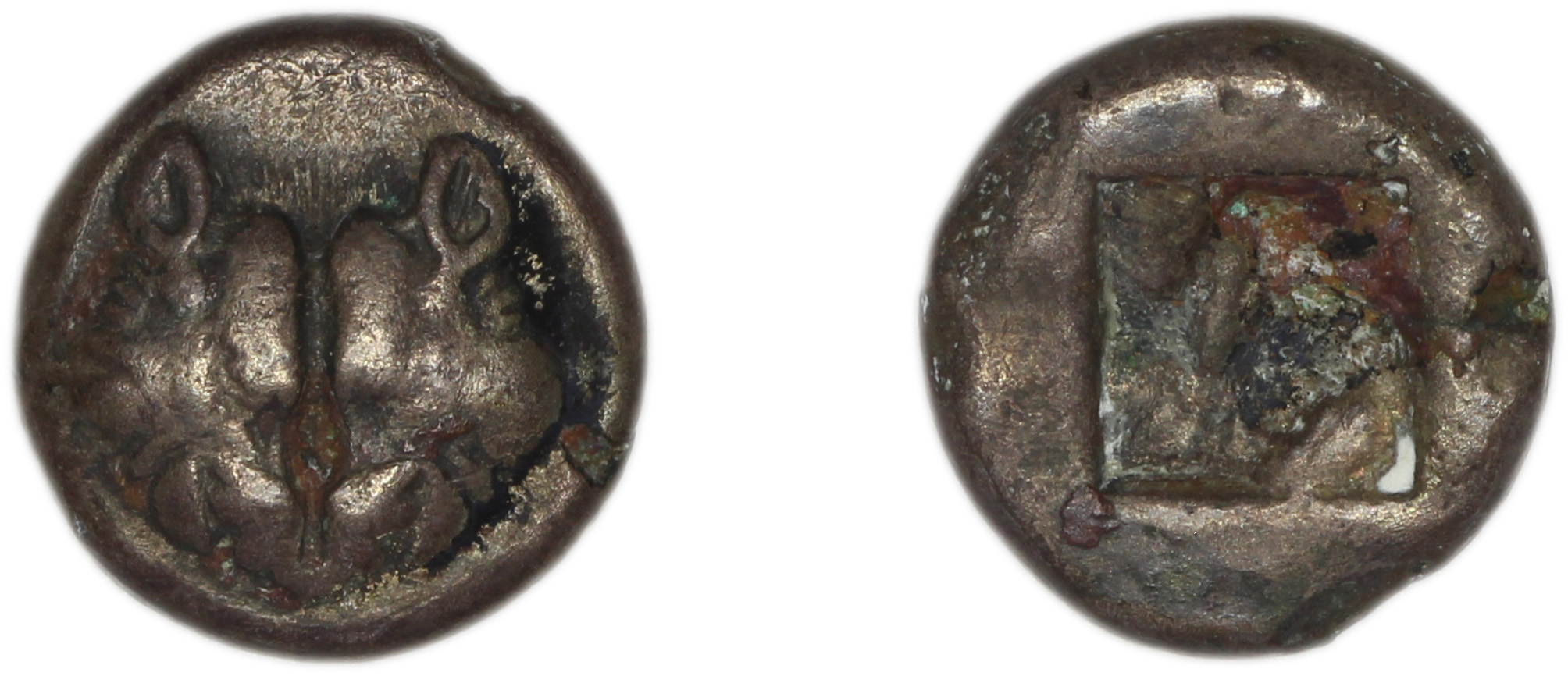 Lesbos Babelon 1907 556-71, аверс, bm