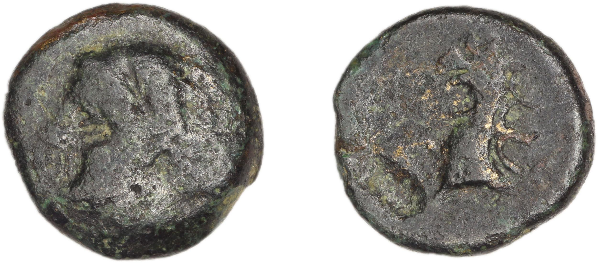 Phocaea BMC Phocaea 94-7, аверс, bm
