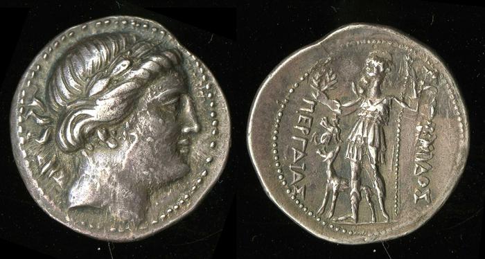 реверс Perge Colin 1996 1.1