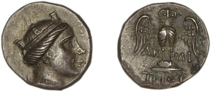 Amisus Waddington 1925 11a, реверс, bm