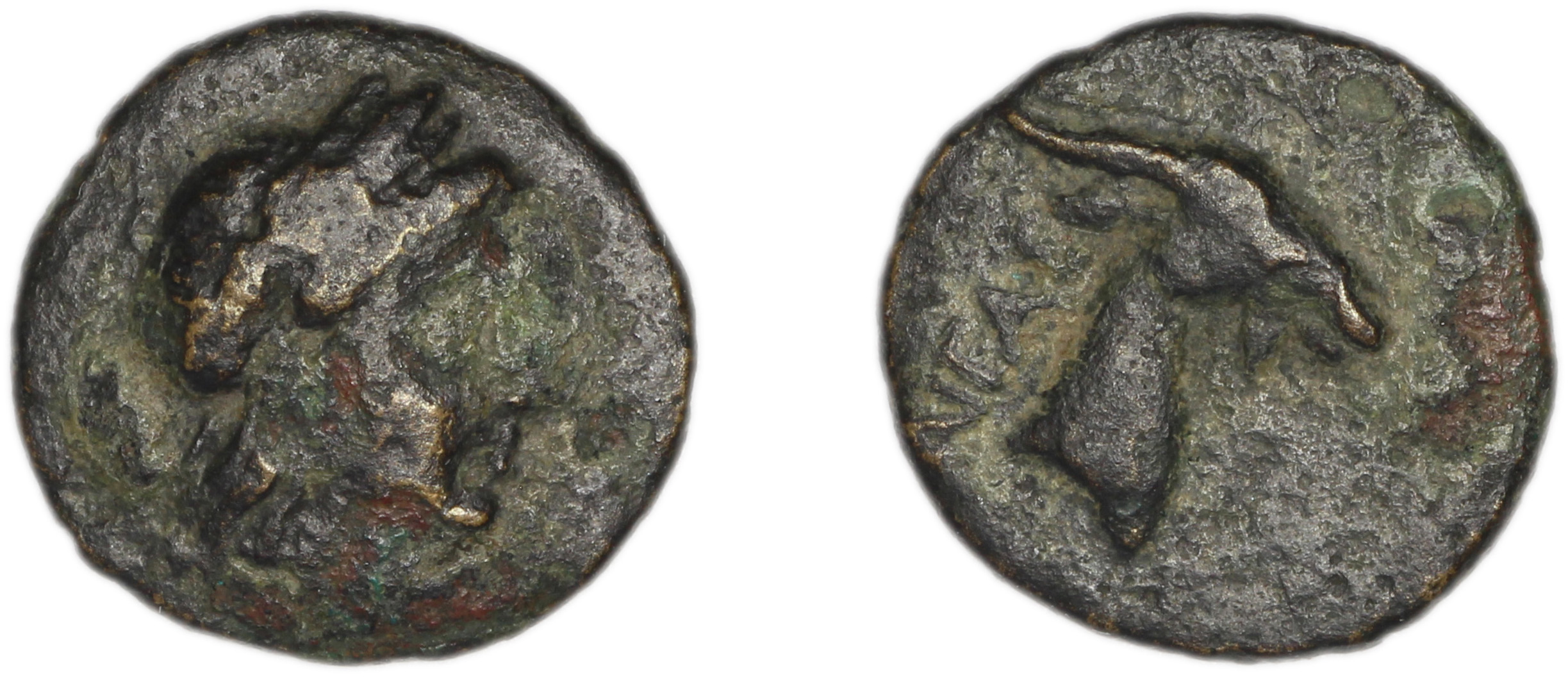 Aegae, Aeolis BMC Aegae 2, аверс, bm