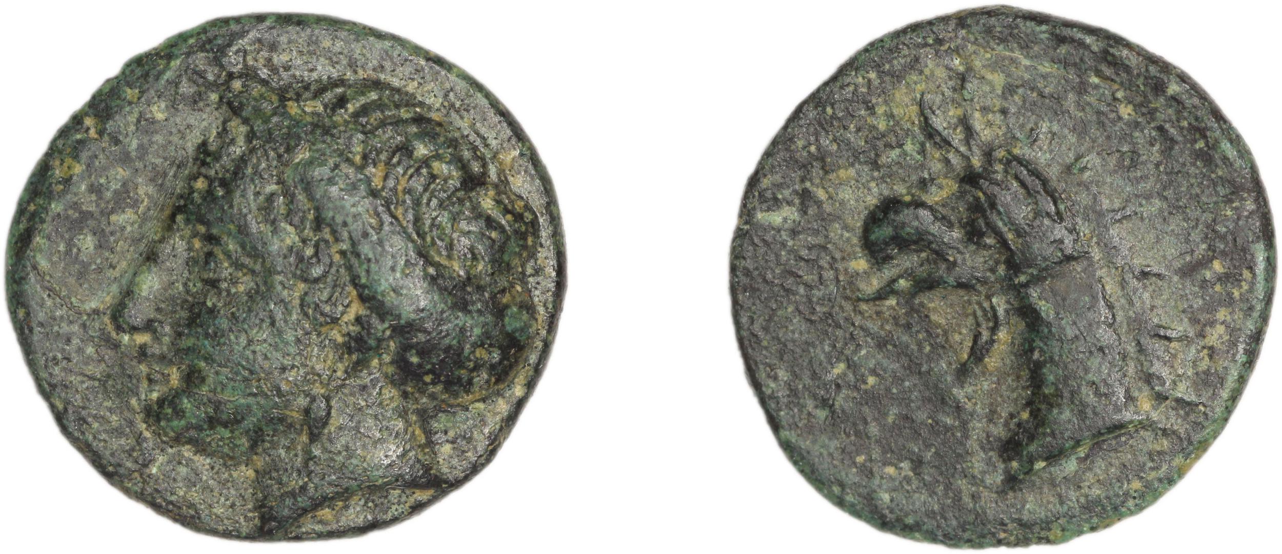 Phocaea BMC Phocaea 91-3, аверс, bm