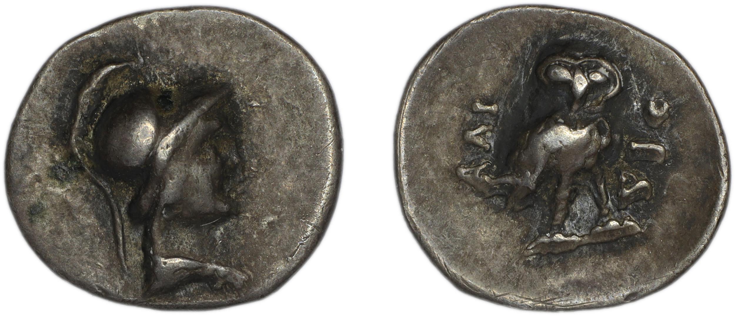 Halicarnassus BMC Halicarnassus 49-53, аверс, bm