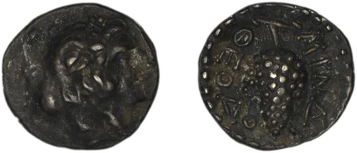 Myndus Zabel and Meadows 2002 Group C Trihemiobols, реверс, bm