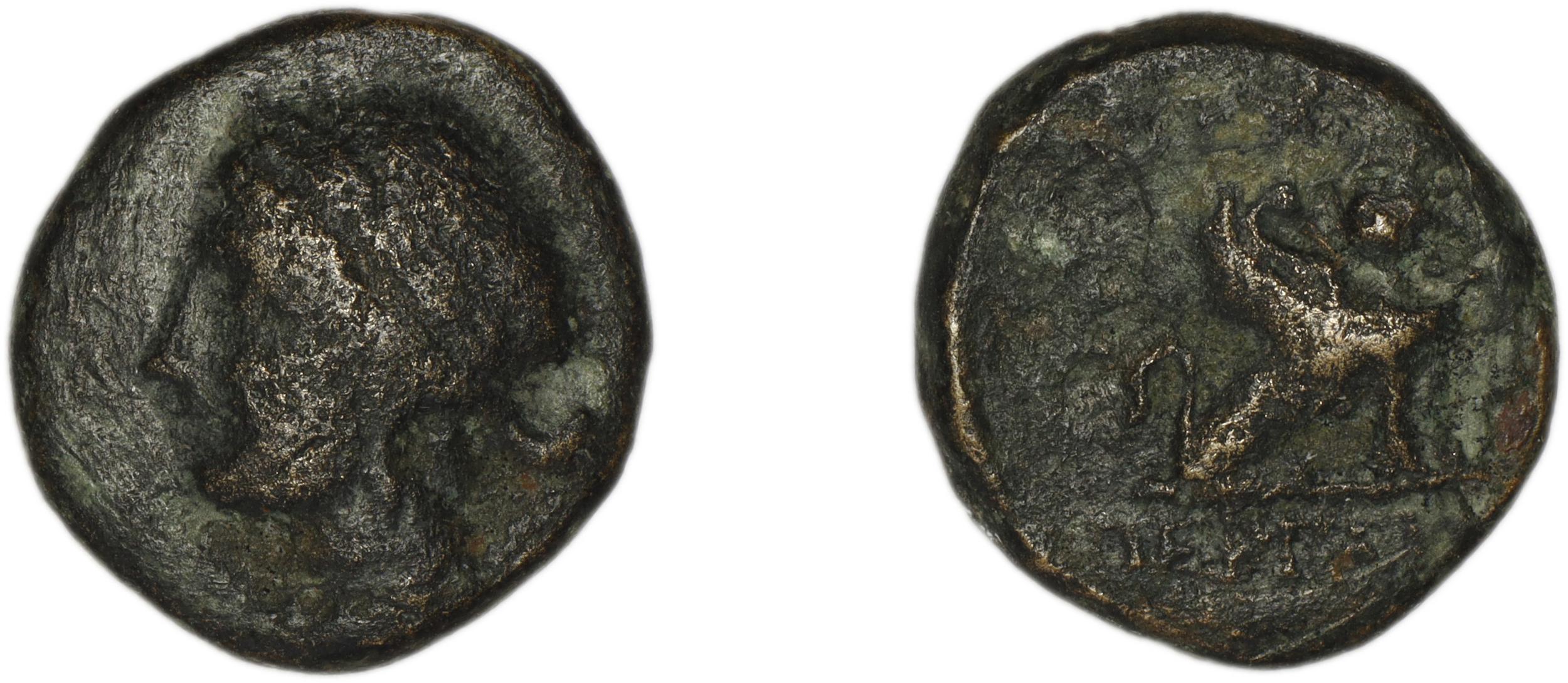аверс Perge Colin 1996 8