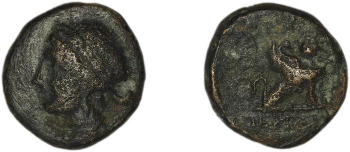 реверс Perge Colin 1996 8
