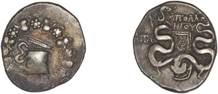 Apamea in Phrygia Kleiner 1979 XVI, реверс, Британский музей