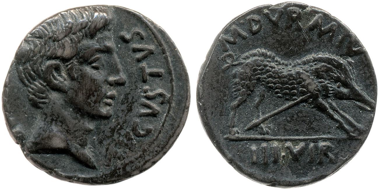 RIC I (second edition) Augustus 317, obverse, bm