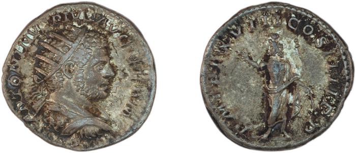 реверс RIC IV Caracalla 263D