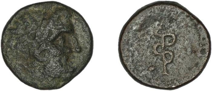 Cos Stefanaki 2012 12.36, реверс, bm