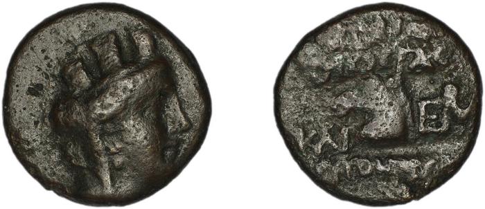реверс Aegeae Bloesch 1982 Period 5.204-8