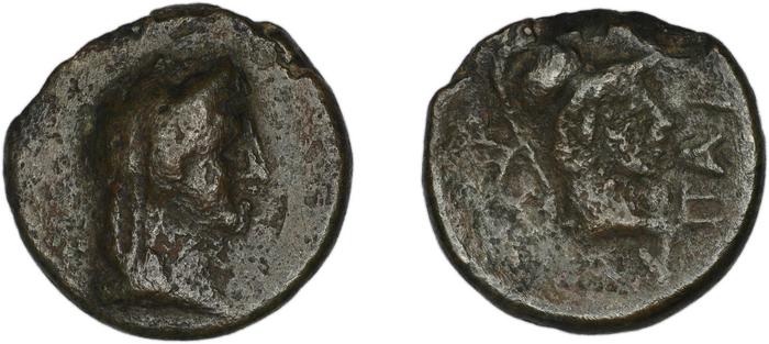 реверс Astypalaea BMC Astypalaea 13