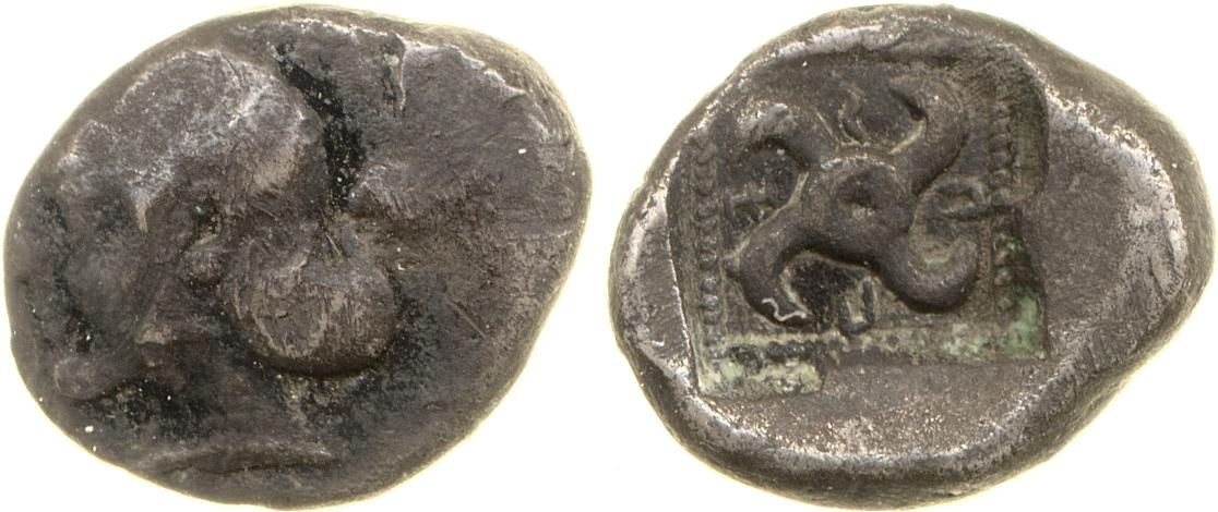 Sppntaza Phellus Hoff 2017 M250-1, аверс, bm