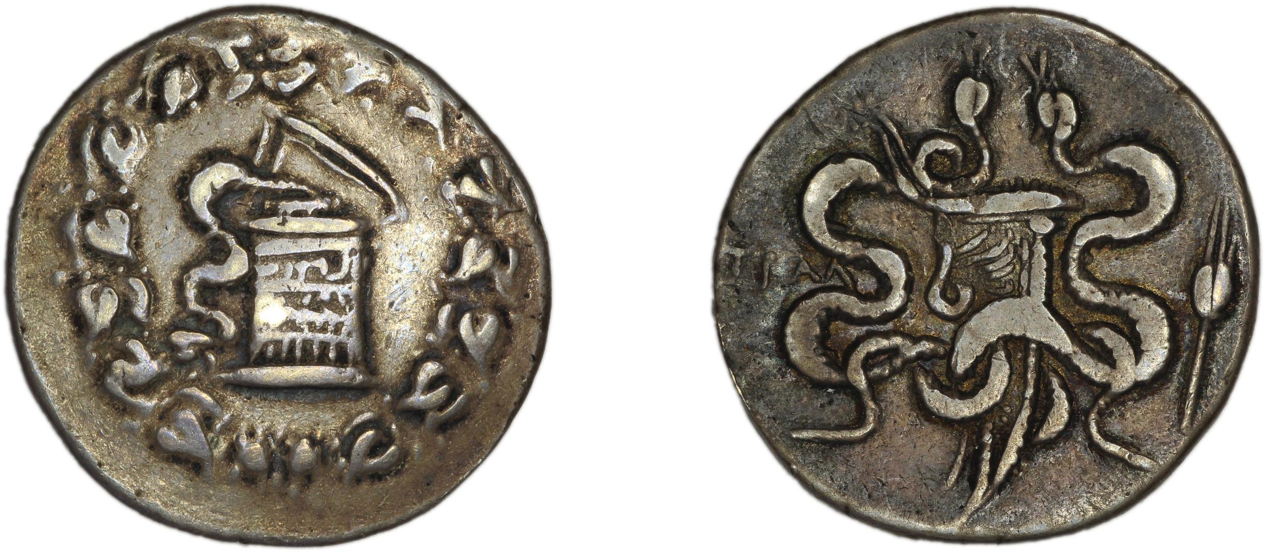 obverse Tralles Kleiner and Noe 1977 12