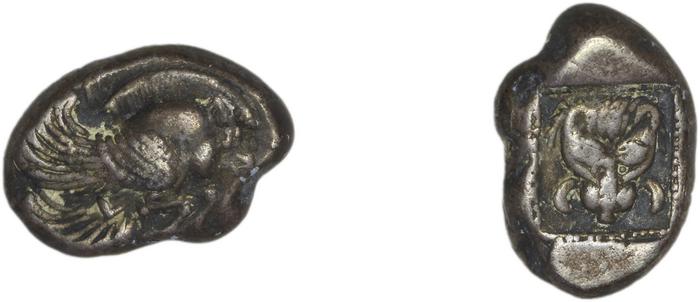 Samos Barron 1966 Samian drachms, реверс, bm
