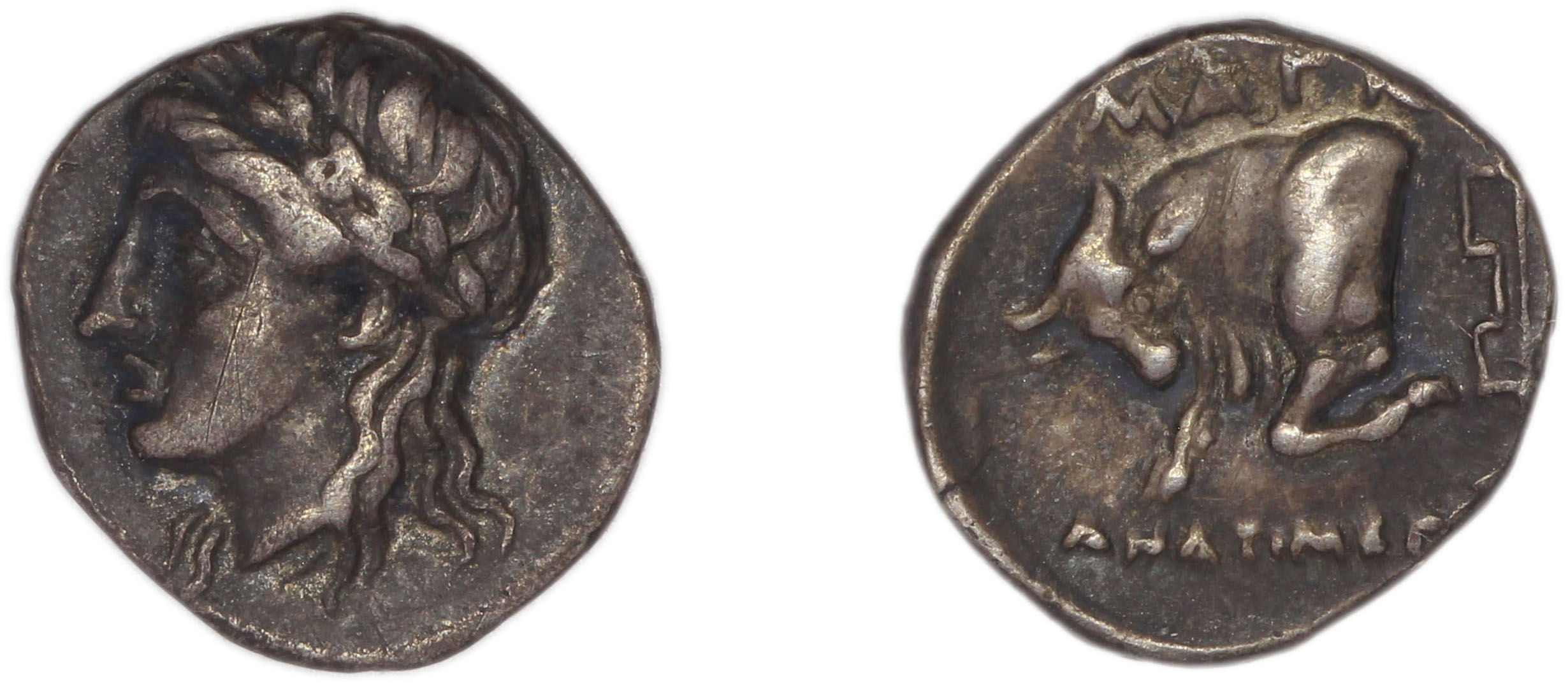 obverse Magnesia ad Maeandrum BMC Magnesia 14