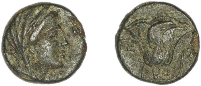 реверс Rhodes Ashton 2001 239-41