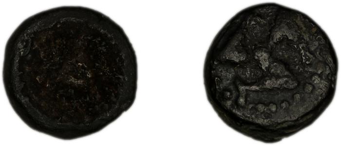 Adada von Aulock 1977 32-36, реверс, bm