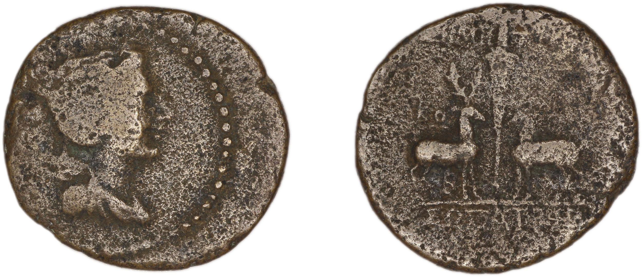 Ephesus Kinns and Holt 2023 Period VI, AE XXX, аверс, bm