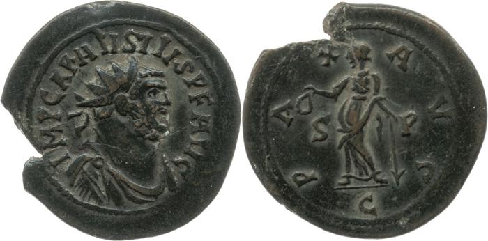 реверс RIC V Carausius 300