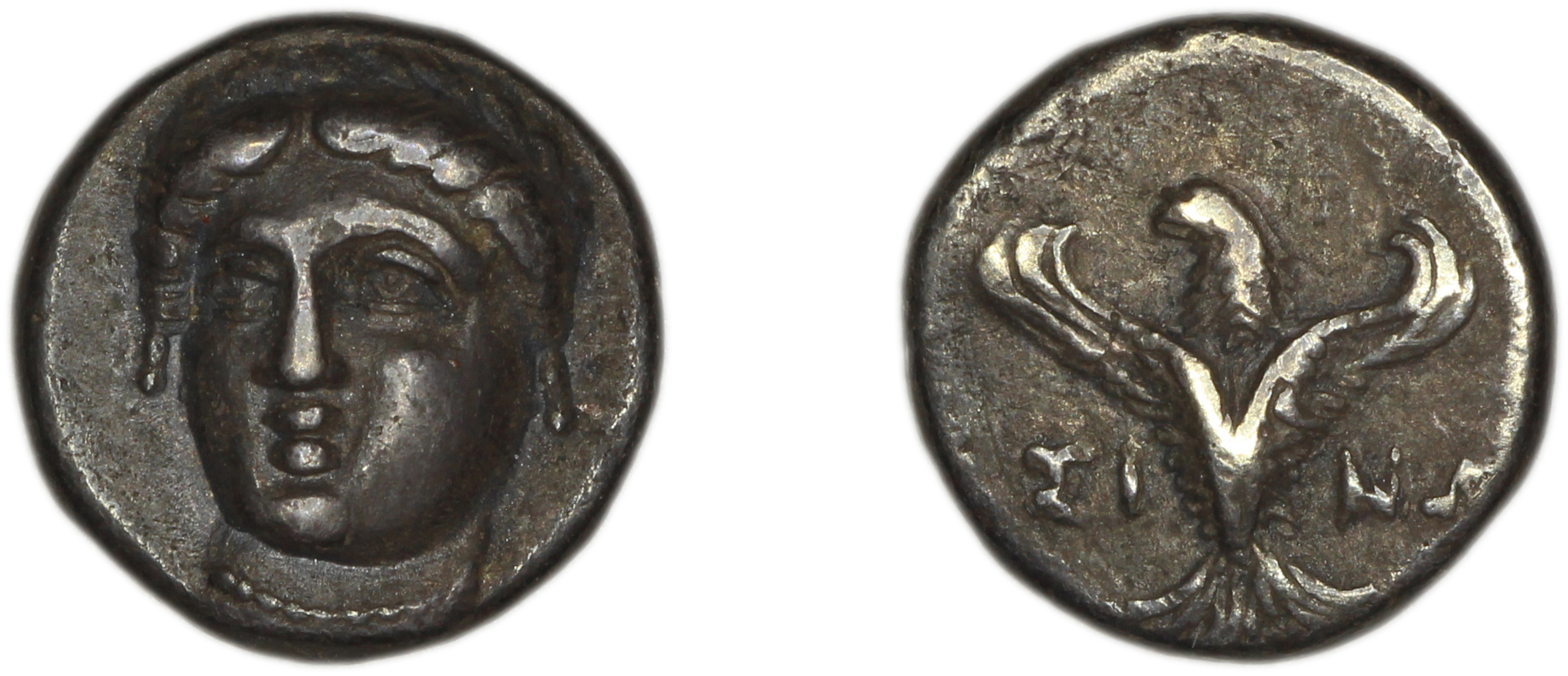 Sinope Waddington 1925 31, аверс, bm