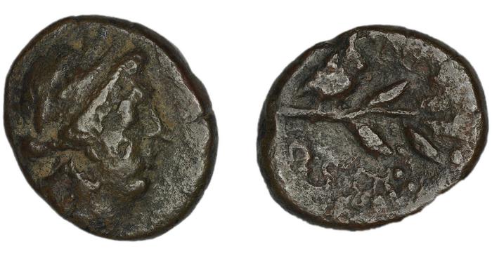 Myndus BMC Myndus 24-32, реверс, bm