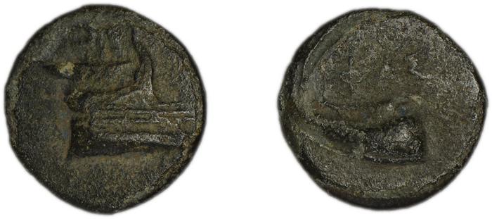 Phaselis Heipp-Tamer 1993 AE 1, реверс, bm