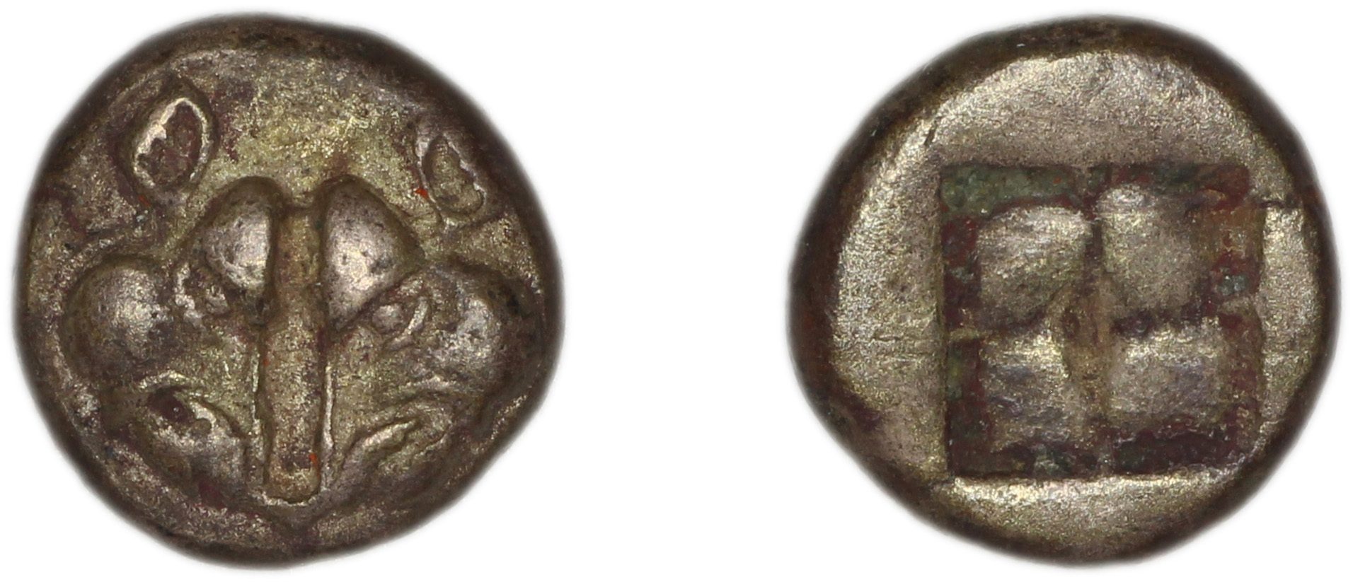 Lesbos Babelon 1907 556-71, аверс, bm