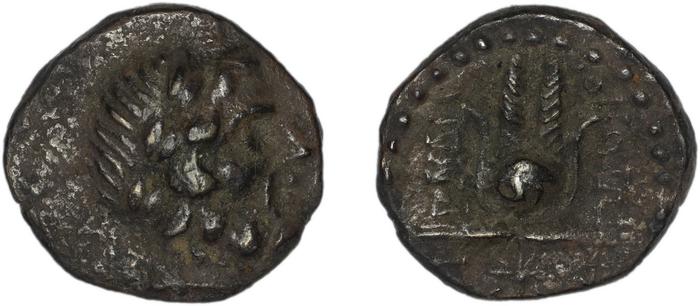 Myndus Zabel and Meadows 2002 Group B, реверс, bm