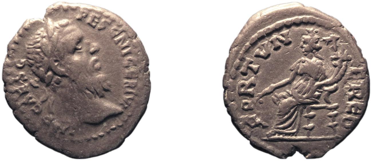 аверс RIC IV Pescennius Niger 23