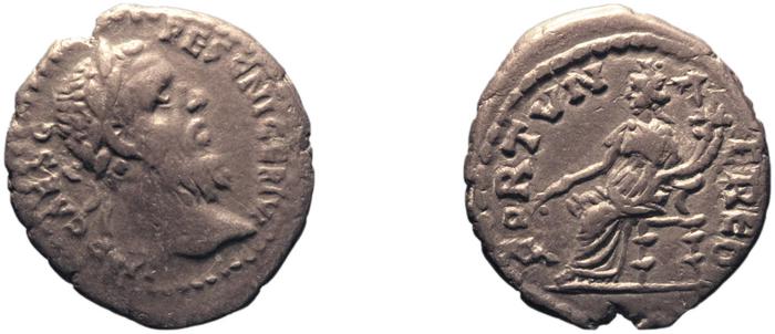 реверс RIC IV Pescennius Niger 23